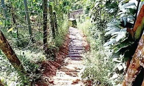 ആ​ദി​വാ​സി കോ​ള​നി​യി​ലേക്കുള്ള വഴി റിസോർട്ടുകാർ അടച്ചു; വ​നം​വ​കു​പ്പ് തുറന്നു