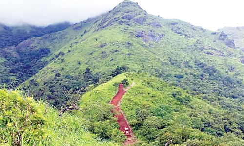 ബാണാസുരയിൽ കുന്നിടിക്കലും അനധികൃത റോഡ് നിർമാണവും ത​കൃ​തി