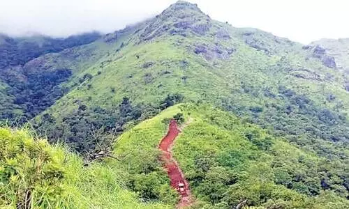 ബാണാസുരയിൽ കുന്നിടിക്കലും അനധികൃത റോഡ് നിർമാണവും ത​കൃ​തി