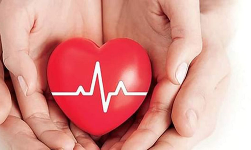 ഷാ​ഫി ജീ​വി​ച്ചി​രി​ക്കു​ന്ന​തി​ന് തെ​ളി​വ്   ഹൃ​ദ​യ​ത്തു​ടി​പ്പ് മാ​ത്രം...