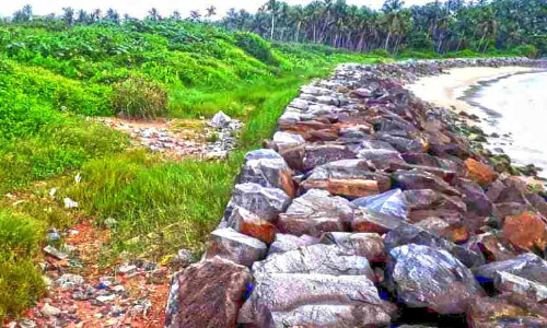 പെട്ടിപ്പാലത്തെ മാലിന്യം നീക്കാൻ ആഗോള ടെൻഡർ