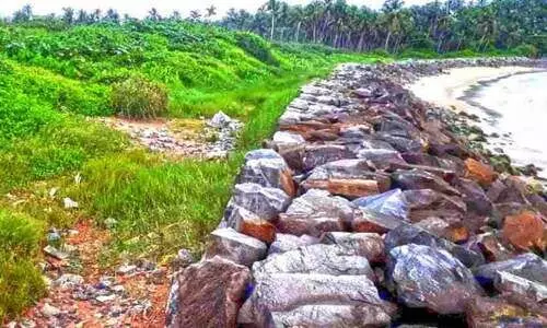 പെട്ടിപ്പാലത്തെ മാലിന്യം നീക്കാൻ ആഗോള ടെൻഡർ