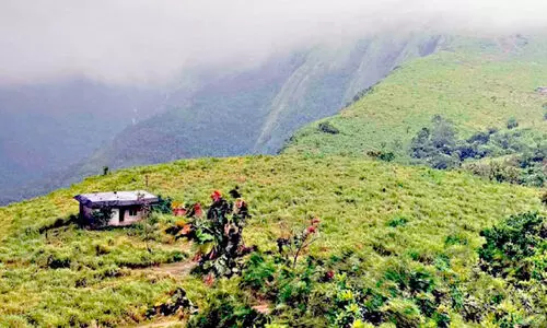 അ​ടി​സ്ഥാ​ന സൗ​ക​ര്യ​ങ്ങ​ളി​ല്ല; ഭൂ​ര​ഹി​ത​ർ​ക്ക്​ ന​ൽ​കി​യ സ്ഥ​ല​ങ്ങ​ൾ അ​നാ​ഥം