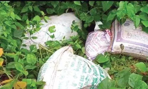 റോ​ഡ​രി​കി​ലെ കു​റ്റി​ക്കാ​ട്ടി​ൽ 20 ചാ​ക്ക് അ​രി ഉ​പേ​ക്ഷി​ച്ച നി​ല​യി​ൽ