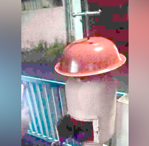 ആരാധനാലയങ്ങളിൽ മോഷണം; മൂന്നിടത്ത് ഭണ്ഡാരങ്ങൾ കുത്തിത്തുറന്നു ആരാധനാലയങ്ങളിൽ മോഷണം; മൂന്നിടത്ത് ഭണ്ഡാരങ്ങൾ കുത്തിത്തുറന്നു