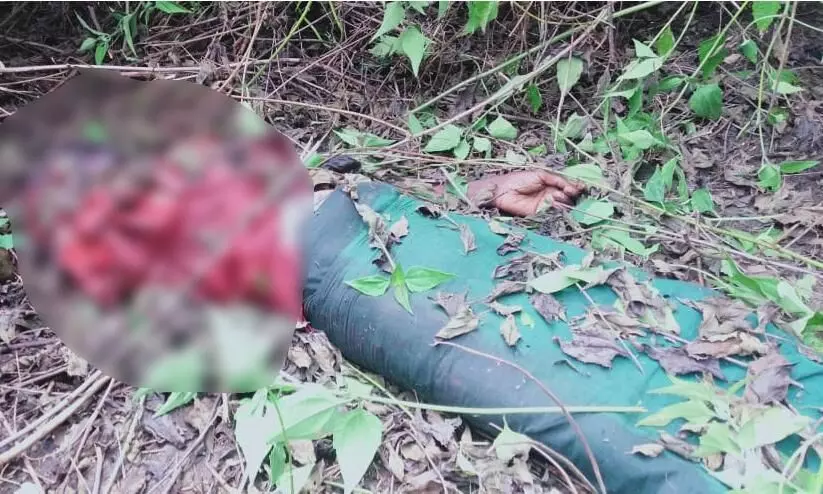 ​Tiger killed one more person in Masinagudi