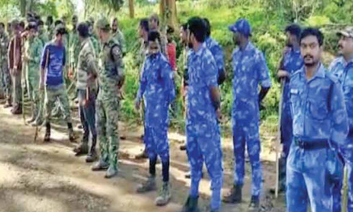 തിരച്ചിൽ ഏഴാം ദിവസത്തിലേക്ക്;കടുവയെ കണ്ടെത്താൻ നാട്