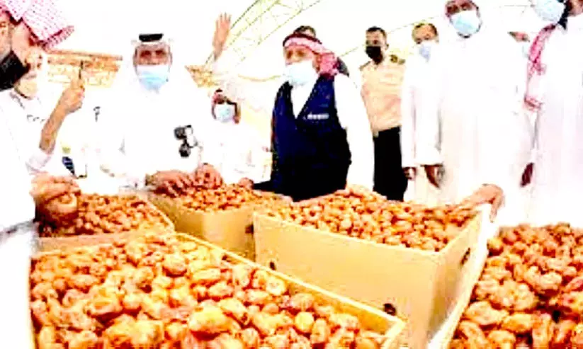 ഏ​റ്റ​വും കൂ​ടു​ത​ൽ ഇൗ​ന്ത​പ്പ​ന ഇ​ന​ങ്ങ​ളു​ടെ കേ​​ന്ദ്രം: അ​ൽ​അ​ഹ്​​സ​ക്ക്​ ലോ​ക റെ​േ​ക്കാ​ഡ്​