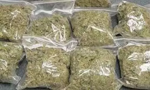 ആന്ധ്രയിൽ നിന്നും കേരളത്തിലേക്ക് കടത്തിയ 187 കിലോ കഞ്ചാവ് പിടികൂടി