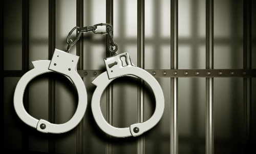 14 വയസ്സുകാരനെ പ്രകൃതിവിരുദ്ധ പീഡനത്തിനിരയാക്കി​; പ്രതിക്ക് 12 വർഷം തടവ്​