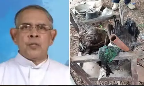 മയിലുകളെ വേട്ടയാടി കൊന്ന കേസിൽ വികാരി അറസ്റ്റില്‍