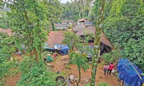 ഒരു കോടി ലഭിച്ചിട്ടും പടക്കോട്ടുകുന്ന് കോളനിക്കാർക്ക് ദുരിതം ബാക്കി