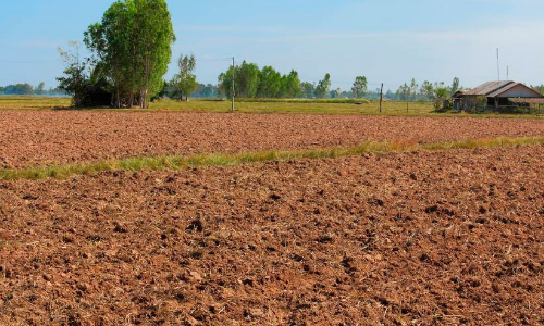 അരനൂറ്റാണ്ട്​ നീണ്ട നിയമപോരാട്ടം; കുടിയിറക്കപ്പെട്ടവര്‍ക്ക്​ പകരം ഭൂമി