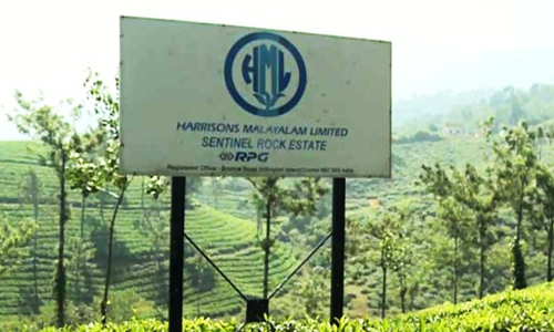 Harrisons Malayalam limited