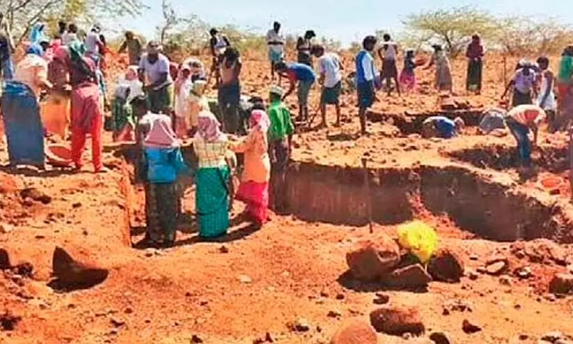 തൊഴിലുഴപ്പ് അവസാനിപ്പിക്കും; തൊഴിലുറപ്പ് പദ്ധതി കുറ്റമറ്റതാക്കാൻ നീക്കം തൊഴിലുഴപ്പ് അവസാനിപ്പിക്കും; തൊഴിലുറപ്പ് പദ്ധതി കുറ്റമറ്റതാക്കാൻ നീക്കം
