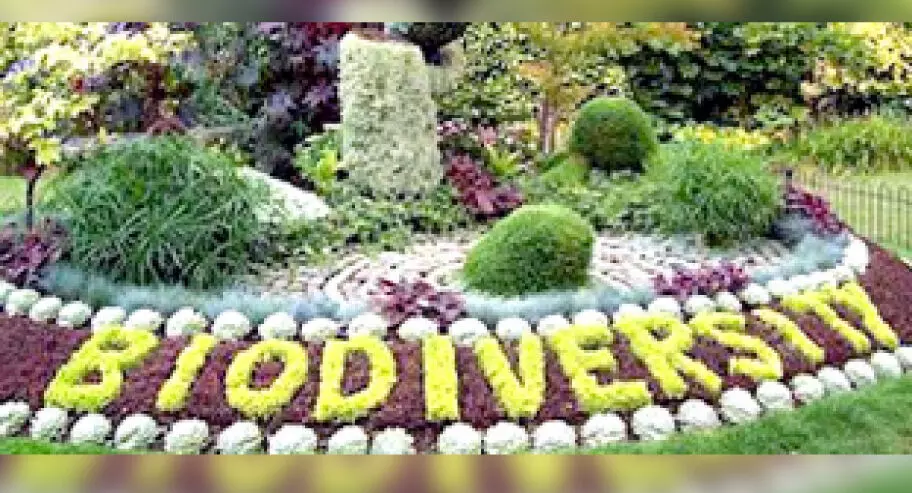 പതിപ്പള്ളിയിൽ ജൈവവൈവിധ്യ പാർക്ക് വരുന്നു