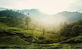 wayanad