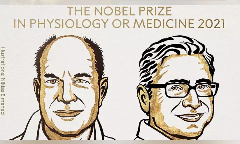 Nobel Prize 2021, Ardem Patapoutian, , David Julius,