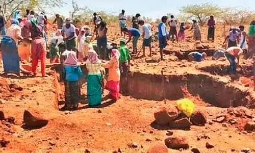 തൊഴിലുഴപ്പ്​ അവസാനിപ്പിക്കും; തൊഴിലുറപ്പ്​ പദ്ധതി കുറ്റമറ്റതാക്കാൻ നീക്കം