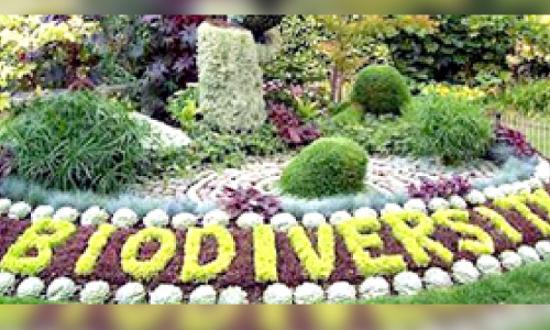 പതിപ്പള്ളിയിൽ ജൈവവൈവിധ്യ പാർക്ക് വരുന്നു