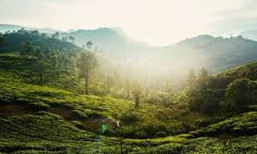 wayanad