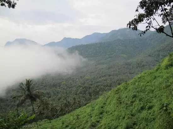 വയനാട് പാക്കേജ് പൊളിച്ചെഴുതണം –പ്രകൃതിസംരക്ഷണ സമിതി