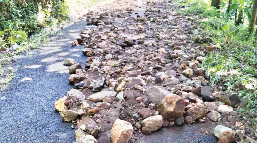 മലവെള്ളപ്പാച്ചിലില് ചട്ടിവയലിലും രാജഗിരിയിലും ആശങ്ക മലവെള്ളപ്പാച്ചിലില് ചട്ടിവയലിലും രാജഗിരിയിലും ആശങ്ക