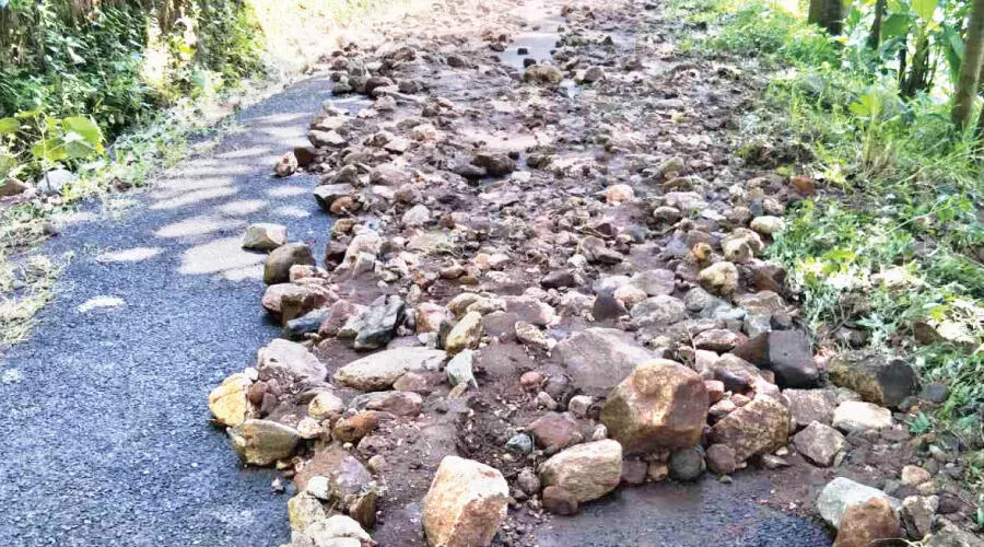 മലവെള്ളപ്പാച്ചിലില്‍ ച​ട്ടി​വ​യ​ലി​ലും രാ​ജ​ഗി​രി​യി​ലു​ം ആശങ്ക