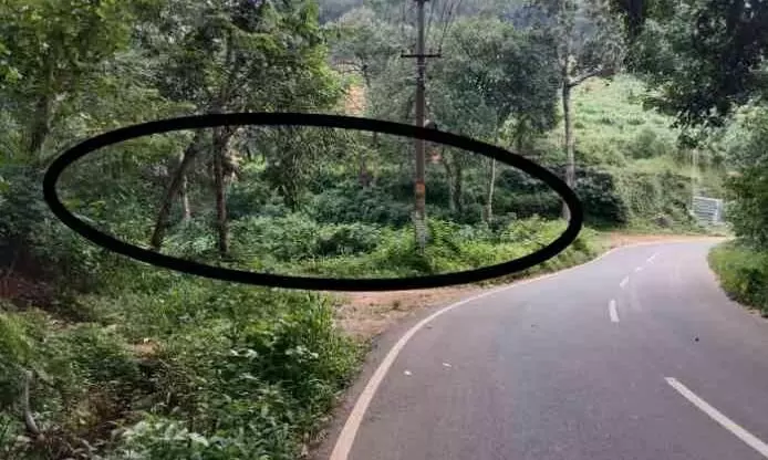 Cheruvathur Cheruvathur