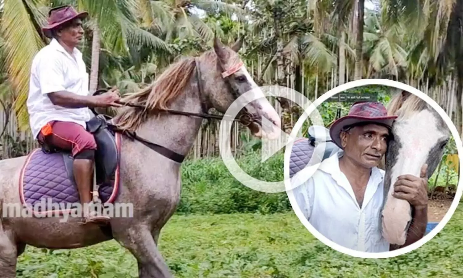 65ാം വയസ്സിലും കുതിര പരിശീലനം നൽകി ഉണ്ണിഹസ്സൻ