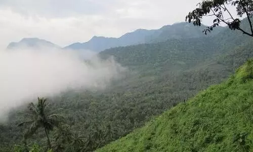 വയനാട് പാക്കേജ് പൊളിച്ചെഴുതണം –പ്രകൃതിസംരക്ഷണ സമിതി