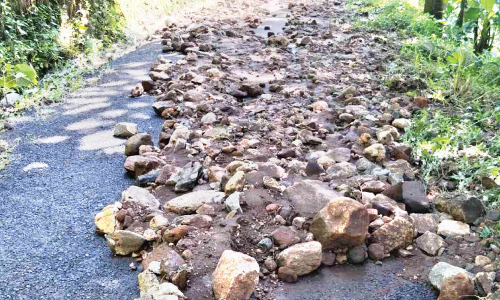 മലവെള്ളപ്പാച്ചിലില്‍ ച​ട്ടി​വ​യ​ലി​ലും രാ​ജ​ഗി​രി​യി​ലു​ം ആശങ്ക