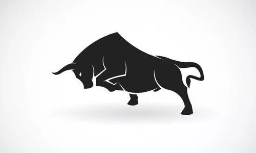 കാ​ള​യു​ടെ കു​ത്തേ​റ്റ് വ​ഴി​യാ​ത്ര​ക്കാ​രി​ക്ക്​ പ​രി​ക്ക്​