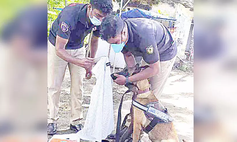 മത്സ്യത്തൊഴിലാളിയുടെ തിരോധാനം: ഡോഗ് സ്ക്വാഡ് പരിശോധന നടത്തി മത്സ്യത്തൊഴിലാളിയുടെ തിരോധാനം: ഡോഗ് സ്ക്വാഡ് പരിശോധന നടത്തി