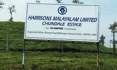 Harrisons Malayalam limited