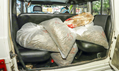 In the city of Thodupuzha Cannabis taken into custody