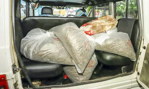 In the city of Thodupuzha Cannabis taken into custody