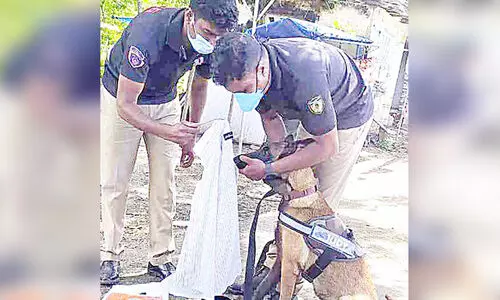 മത്സ്യത്തൊഴിലാളിയുടെ തിരോധാനം:  ഡോഗ് സ്ക്വാഡ് പരിശോധന നടത്തി