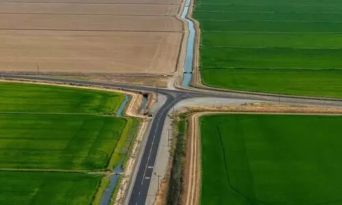 Paddy Land Filling; Norms will be strictly followed minister