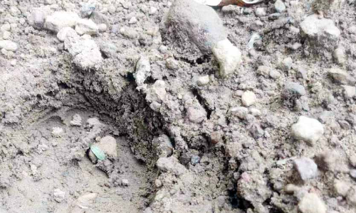 വാണിയപ്പാറയിൽ പുലിയെ കണ്ടതായി നാട്ടുകാർ