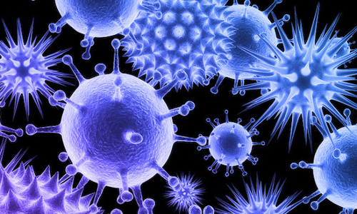 മഞ്ഞ ഷീൽഡുള്ളവർക്ക് ക്വാറൻറീൻ വേണോ മഞ്ഞ ഷീൽഡുള്ളവർക്ക് ക്വാറൻറീൻ വേണോ