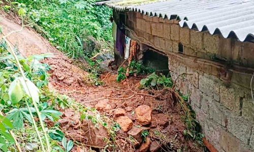 മഴ: തെന്മലയിൽ വ്യാപക നാശം