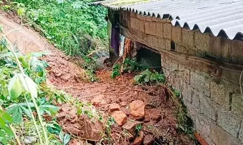 മഴ: തെന്മലയിൽ വ്യാപക നാശം