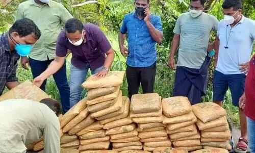 ചാലക്കുടിയിൽ 181 കിലോ കഞ്ചാവ് പിടികൂടി; മൂന്നുപേർ അറസ്റ്റിൽ