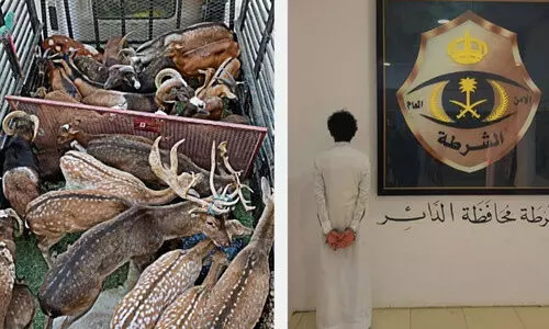 അനധികൃത മാൻ കടത്ത്​: യമനി അറസ്​റ്റിൽ