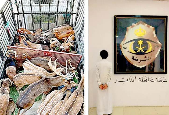 അനധികൃത മാൻ കടത്ത്​: യമനി അറസ്​റ്റിൽ