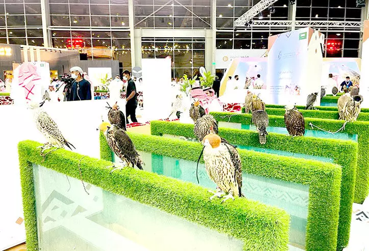 റിയാദ് സീസൺ: പ്രാപ്പിടിയനുകളുടെ ചിറകടിയിൽ ഉത്സവകാലത്തിന് തുടക്കം റിയാദ് സീസൺ: പ്രാപ്പിടിയനുകളുടെ ചിറകടിയിൽ ഉത്സവകാലത്തിന് തുടക്കം