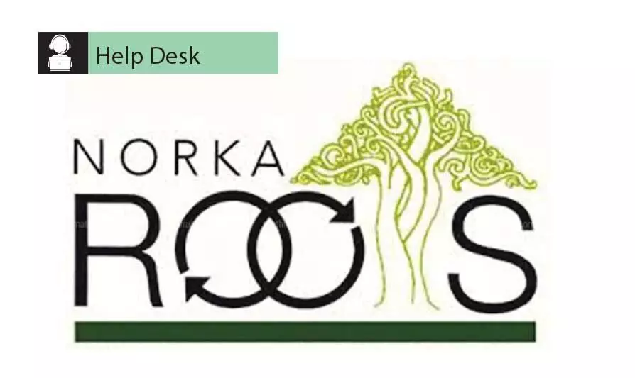 Norka Roots