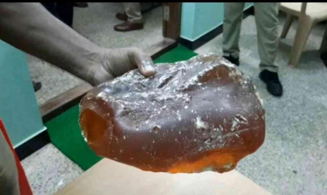 ആംബർ ഗ്രീസുമായി അഞ്ച് പേരെ അറസ്റ്റ് ചെയ്തു ആംബർ ഗ്രീസുമായി അഞ്ച് പേരെ അറസ്റ്റ് ചെയ്തു