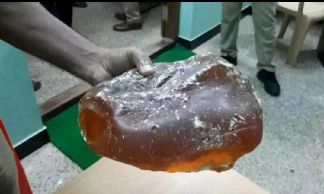 ആംബർ ഗ്രീസുമായി അഞ്ച് പേരെ അറസ്റ്റ് ചെയ്തു ആംബർ ഗ്രീസുമായി അഞ്ച് പേരെ അറസ്റ്റ് ചെയ്തു